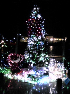 111223_173725.jpg