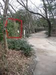 20100318VHXR.JPG