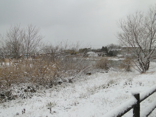 DSC07757.JPG