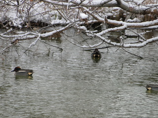 DSC07760.JPG