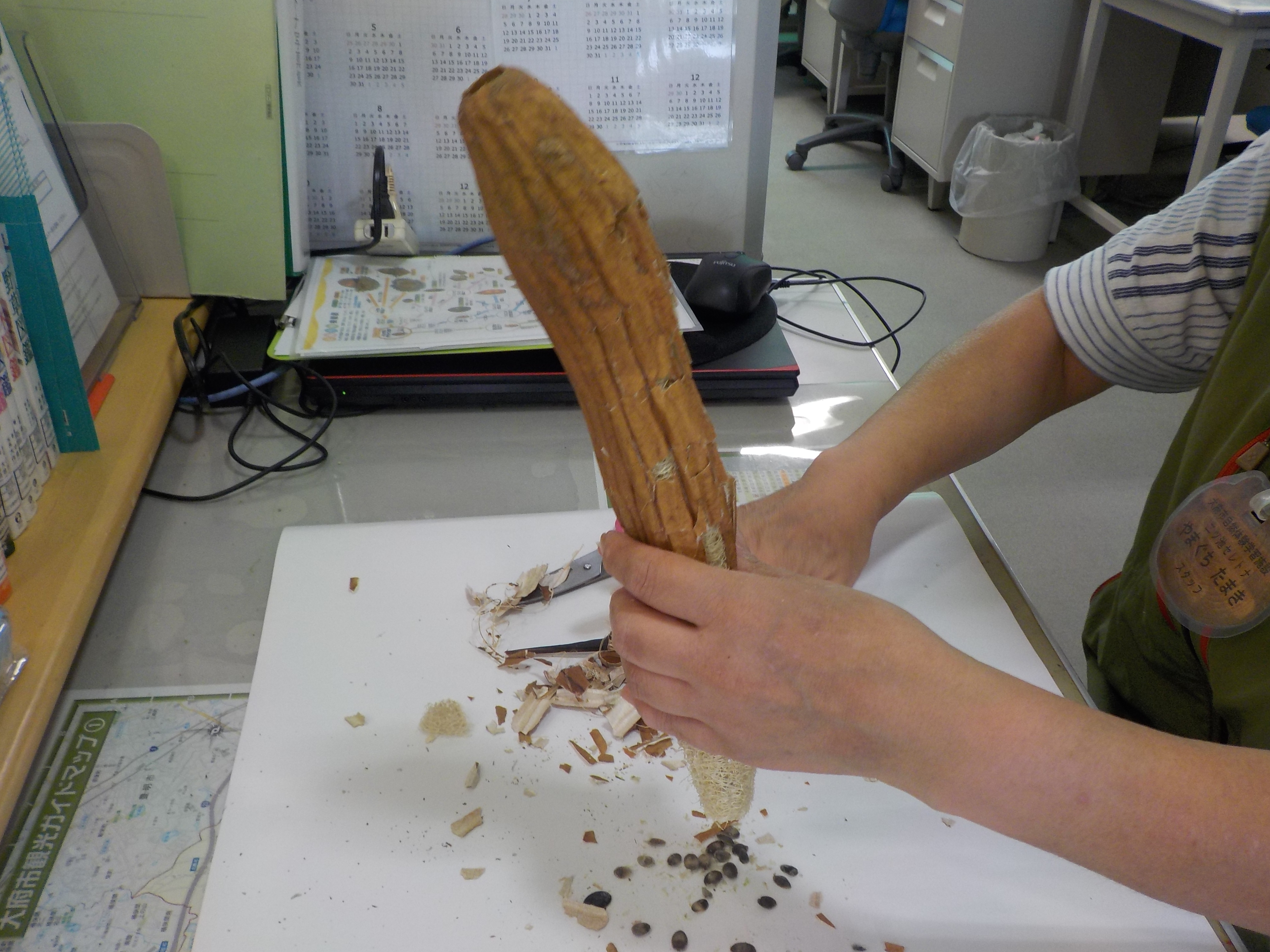 DSCN1020.JPG