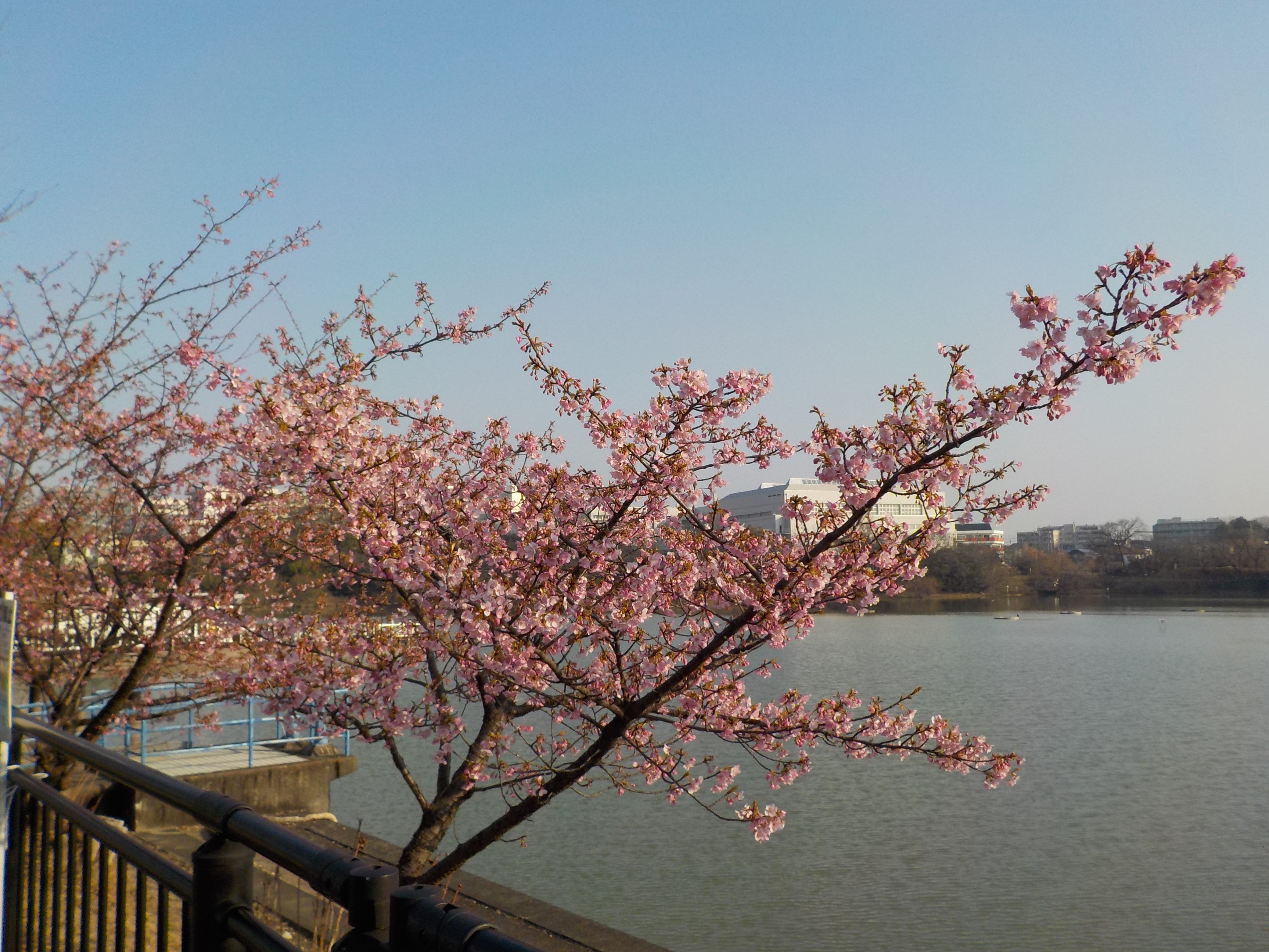 DSCN2614.JPG