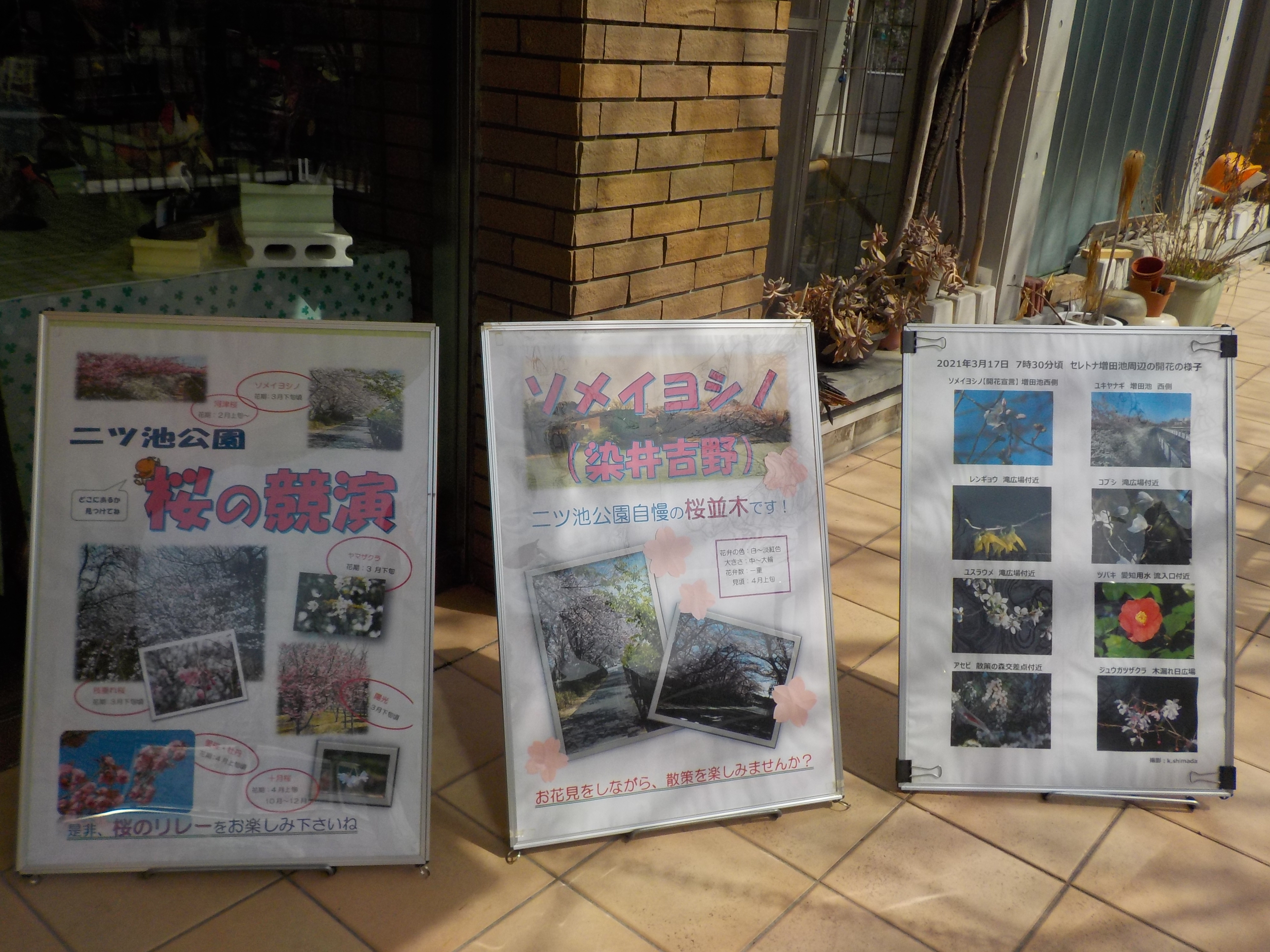 DSCN4224.JPG