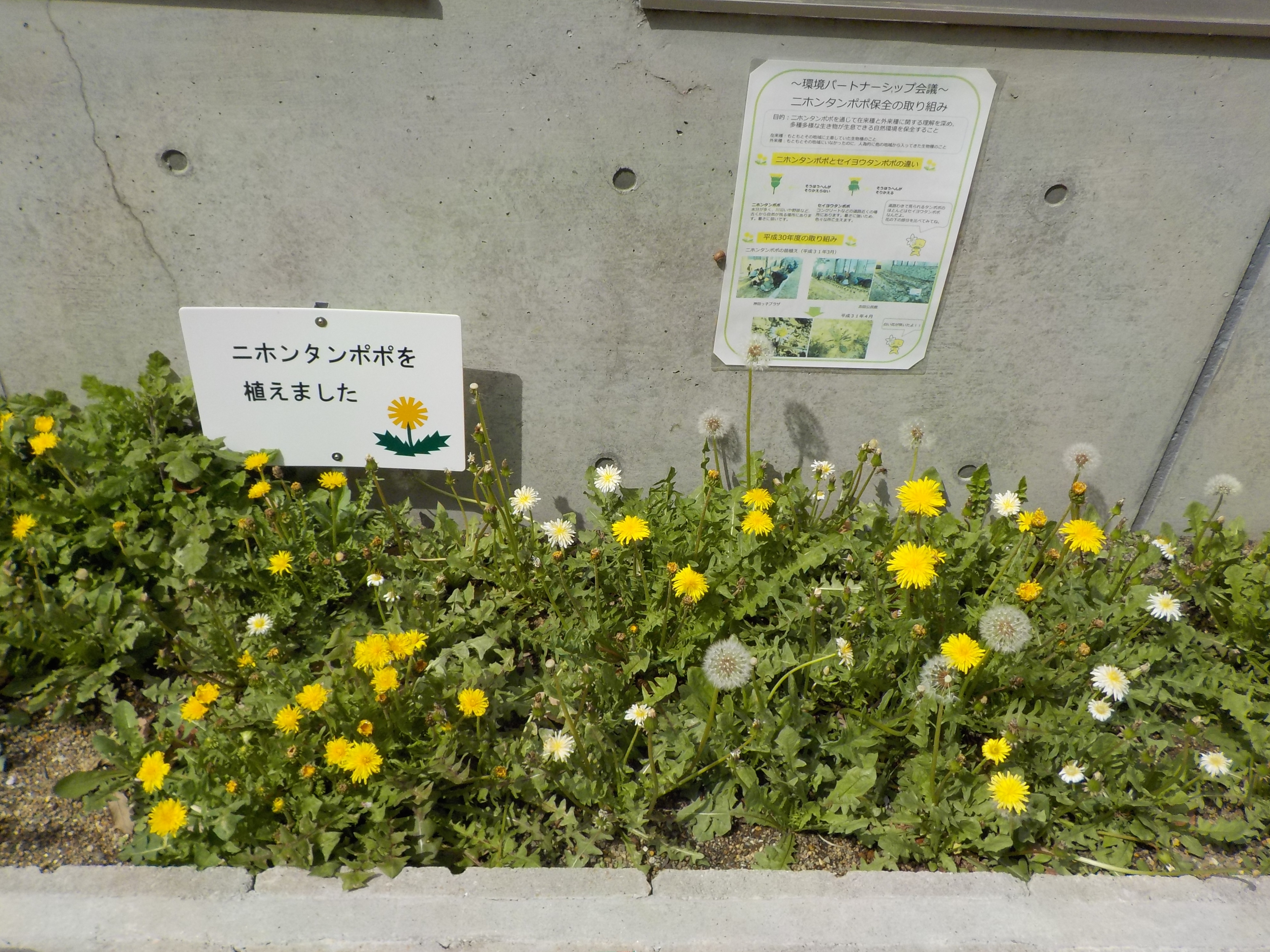 DSCN4337.JPG