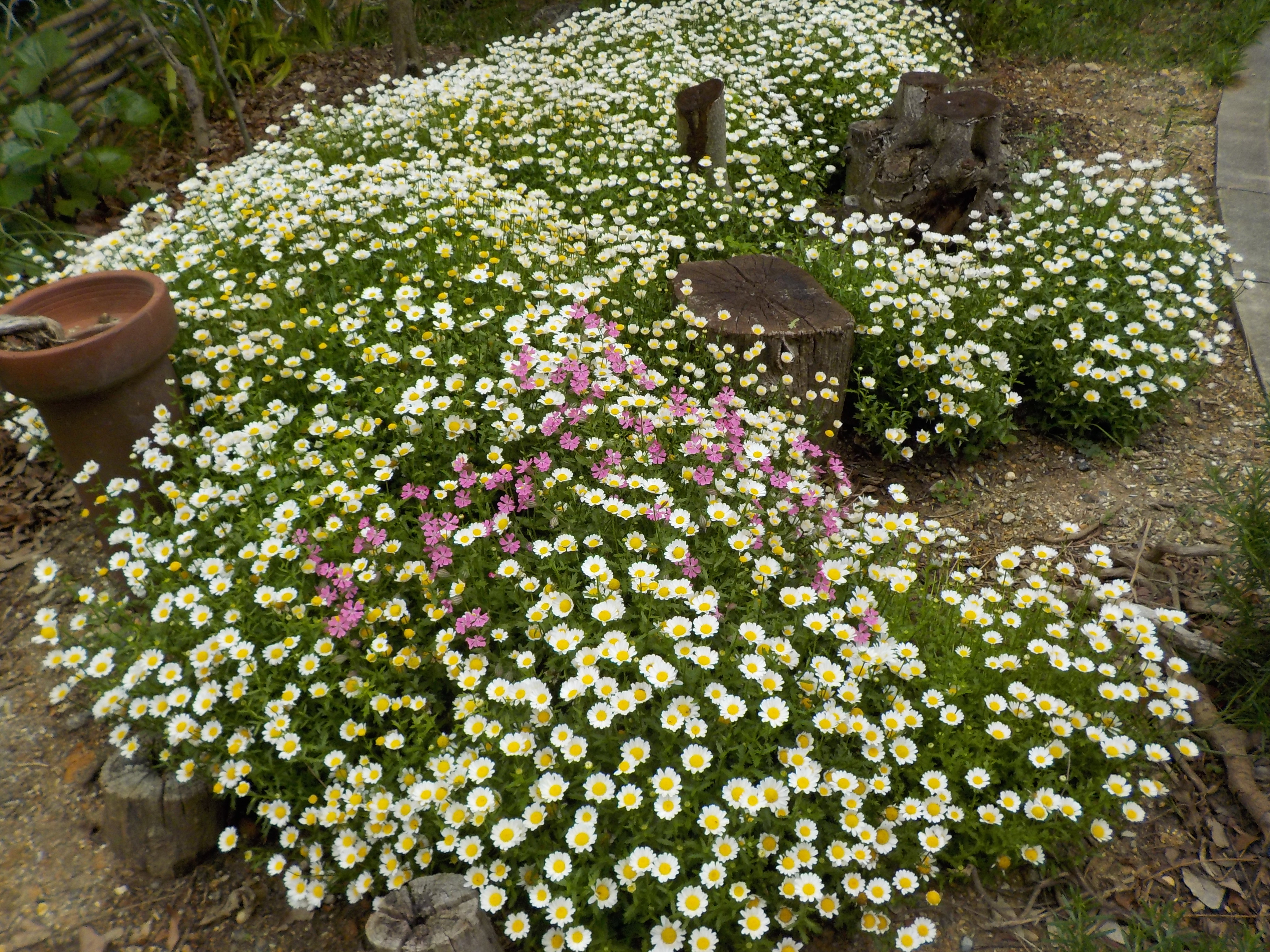 DSCN4551.JPG