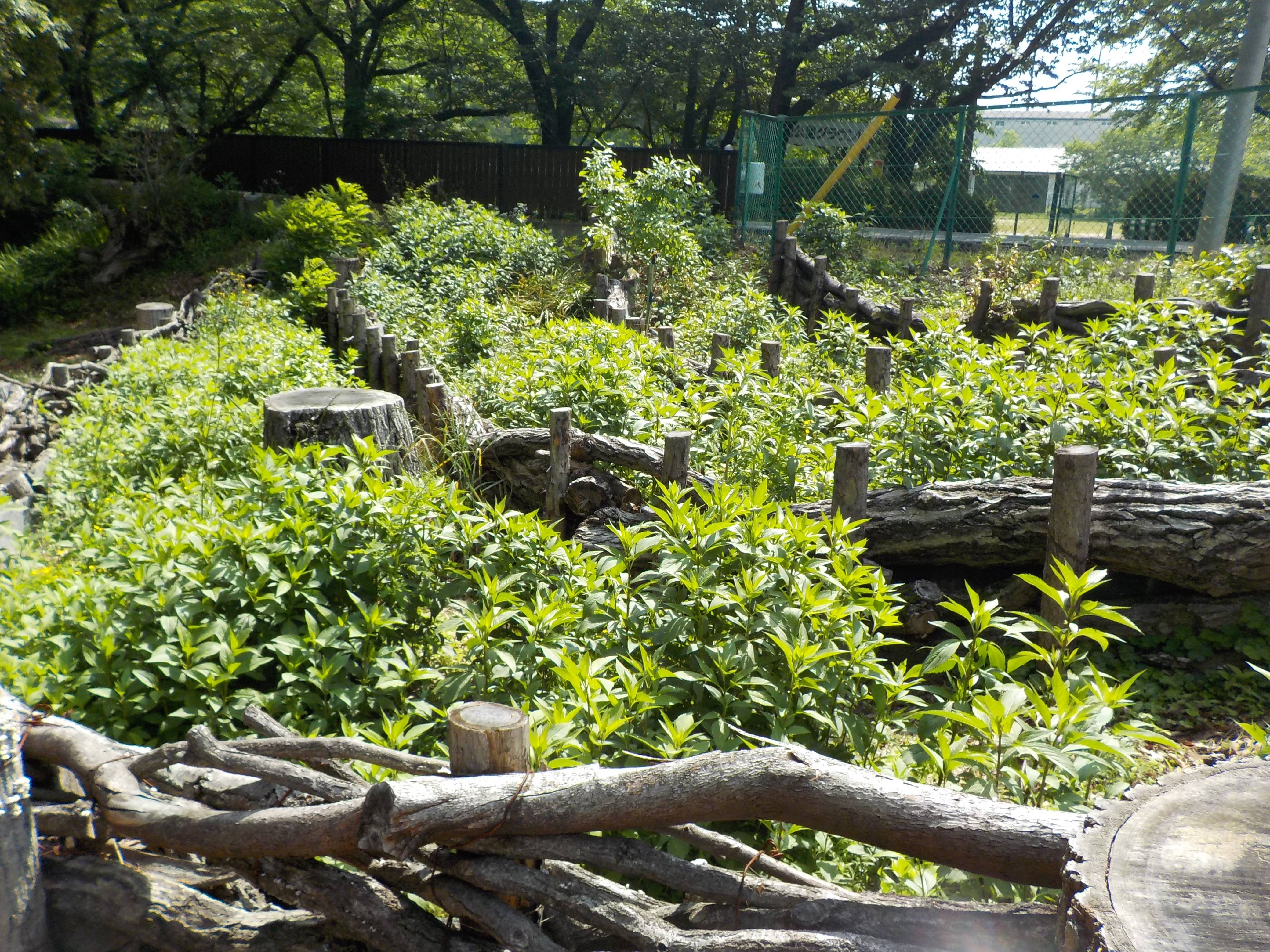 DSCN4598.JPG