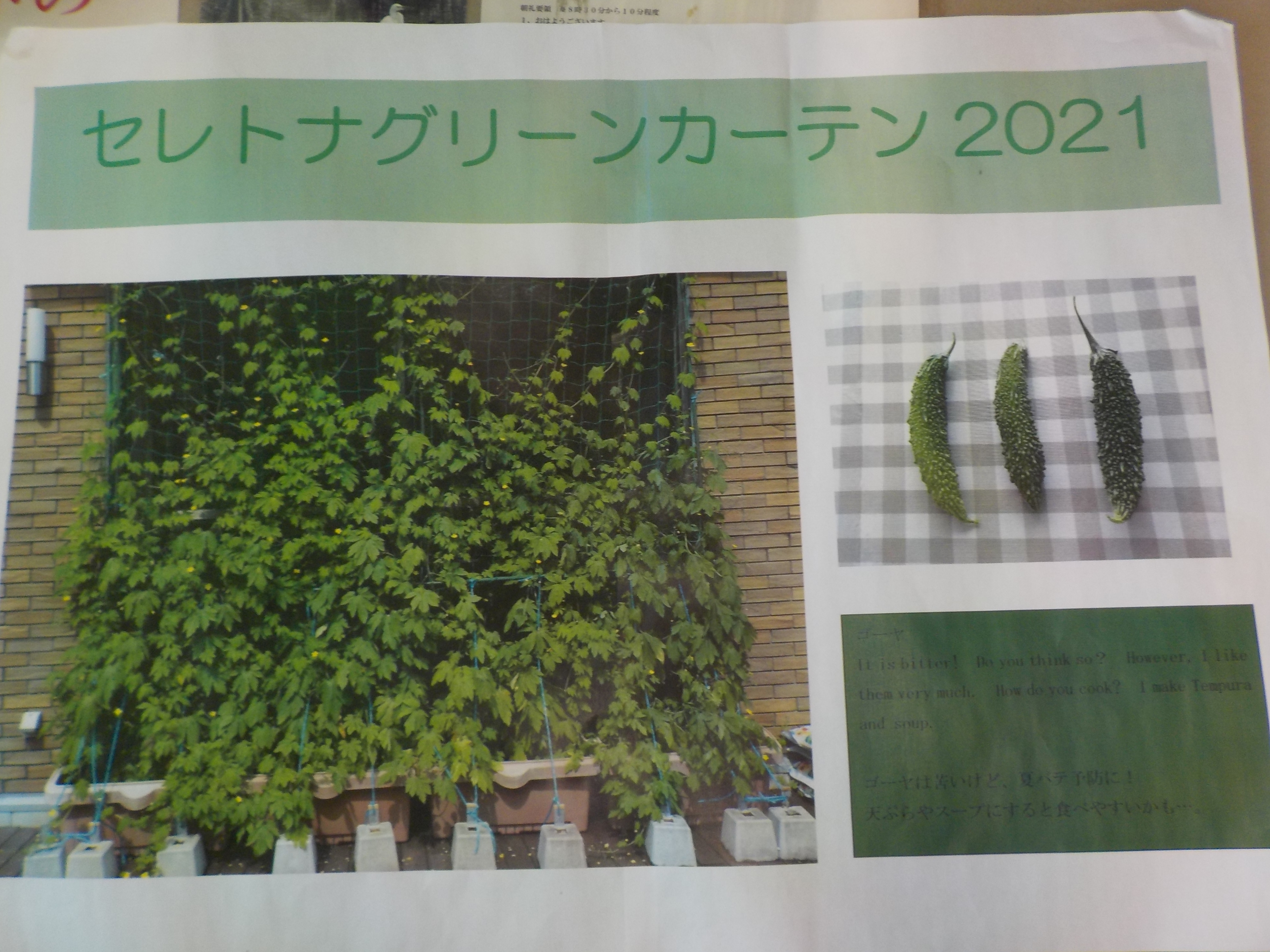 DSCN5291.JPG