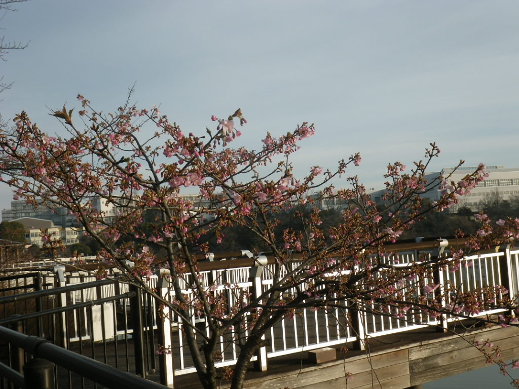 IMGP3729.JPG
