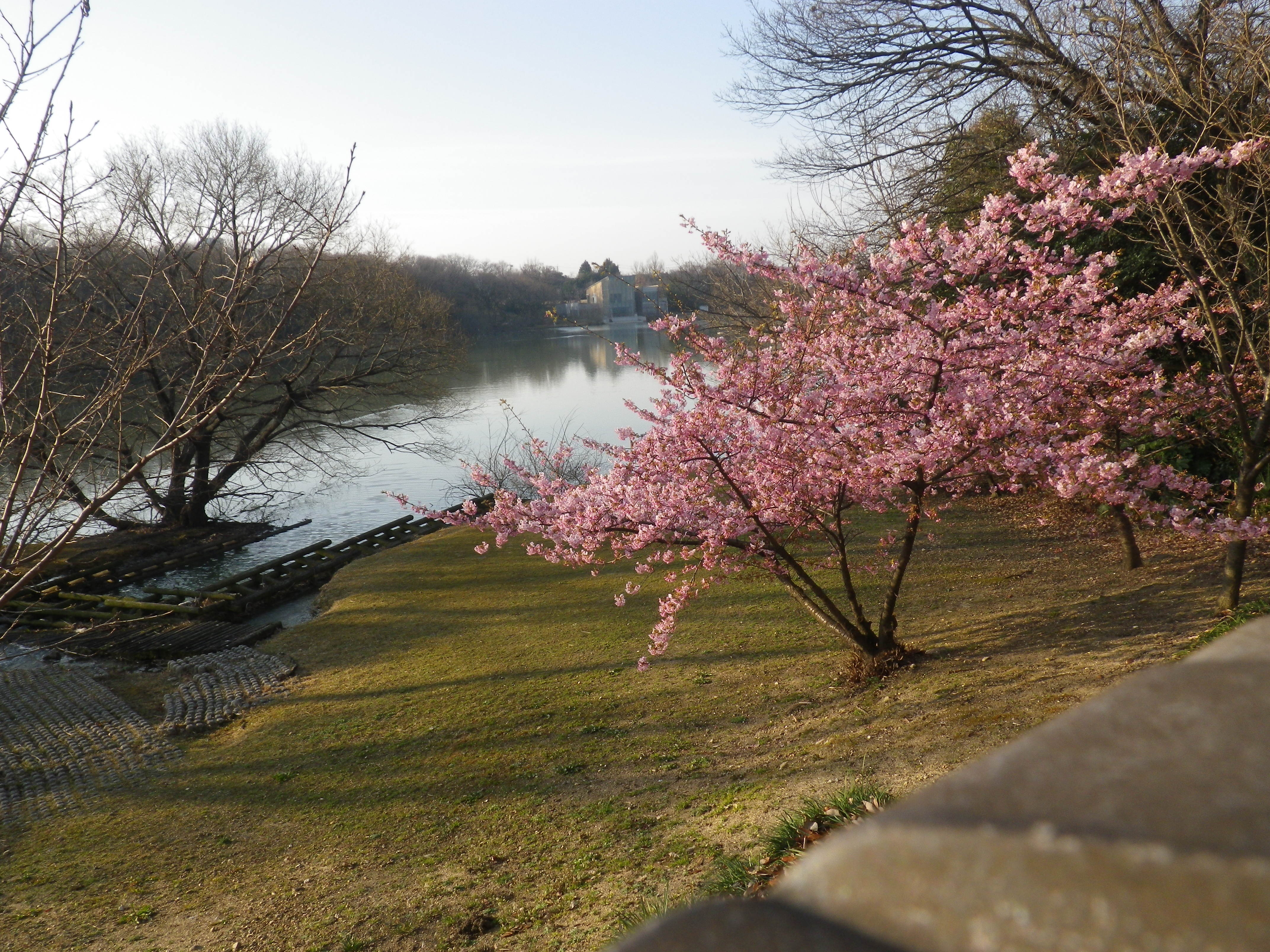 IMGP3809.JPG