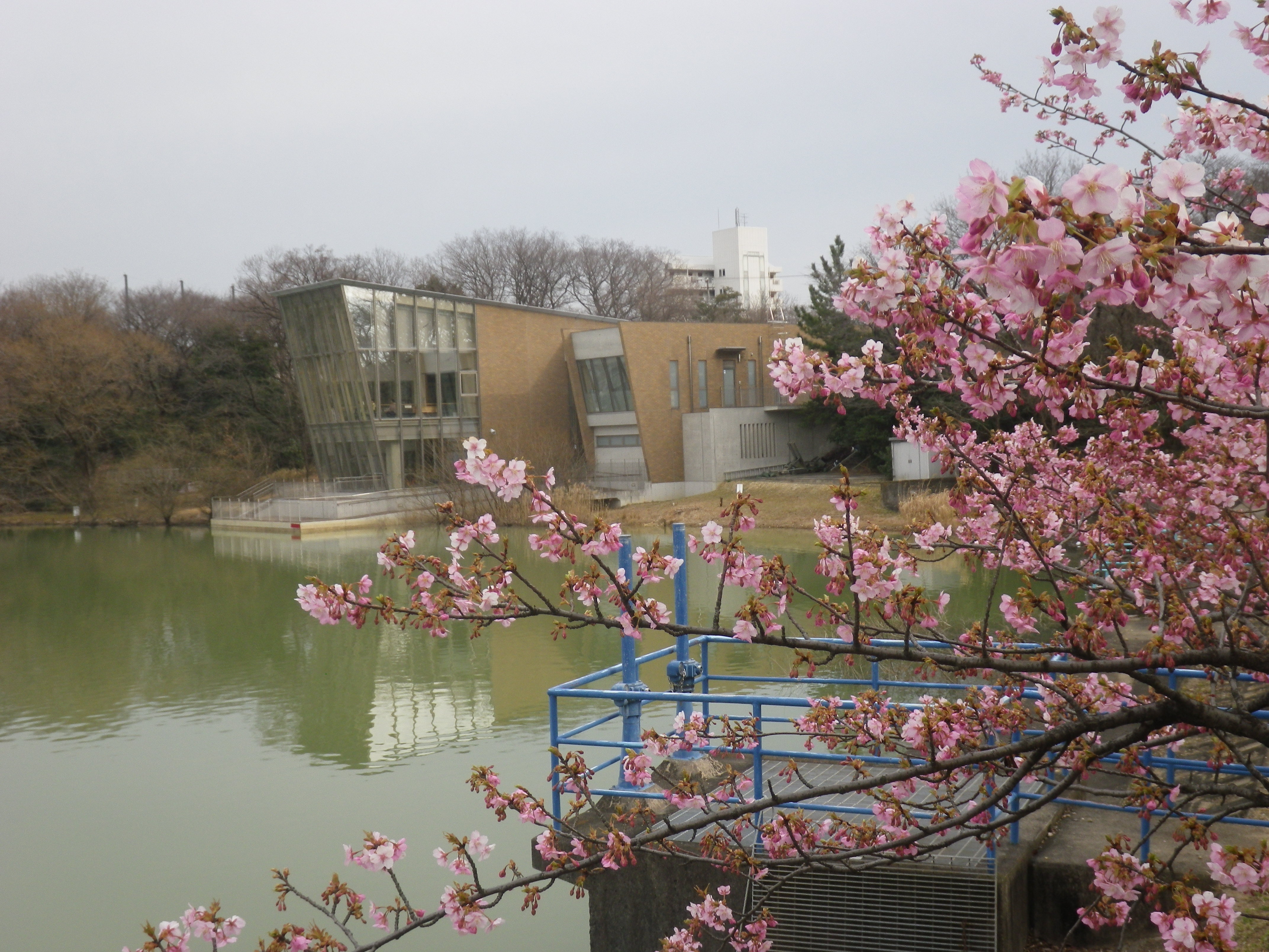 IMGP3822.JPG