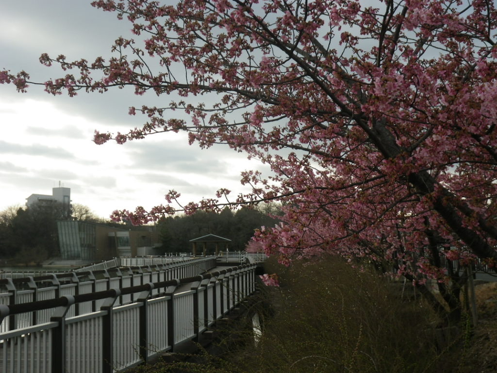 IMGP3839.JPG
