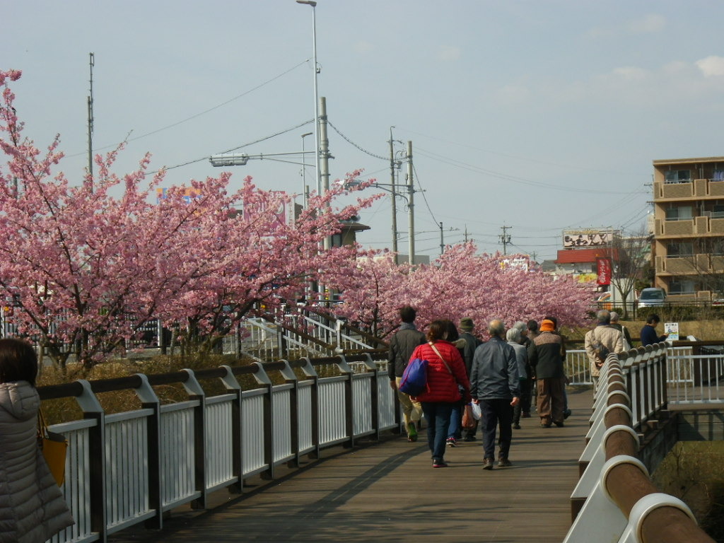 IMGP3914.JPG