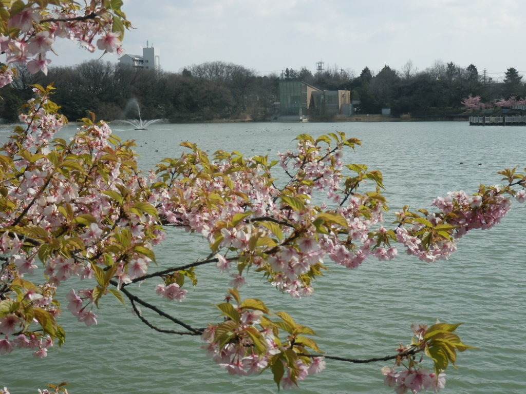 IMGP3922.JPG