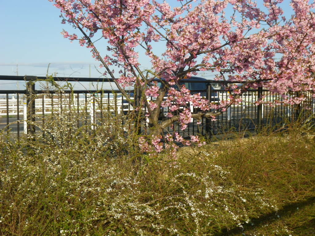 IMGP3984.JPG