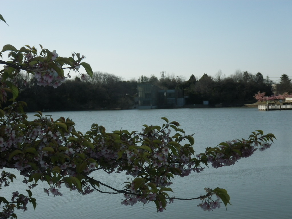 IMGP3994.JPG