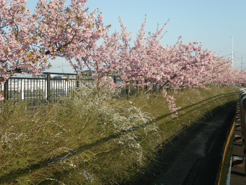 IMGP4033.JPG