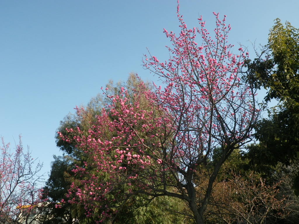 IMGP4039.JPG