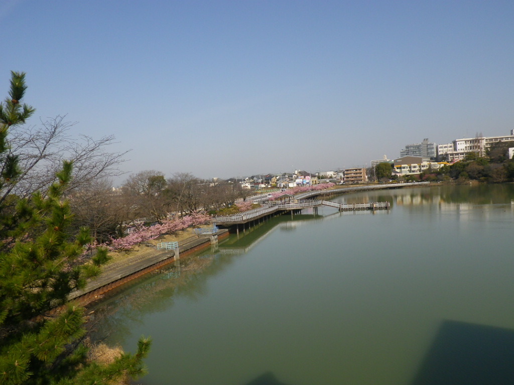 IMGP4050.JPG