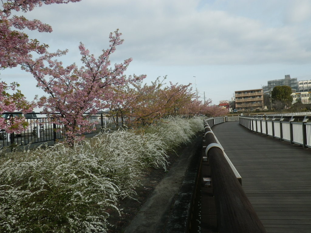 IMGP4227.JPG