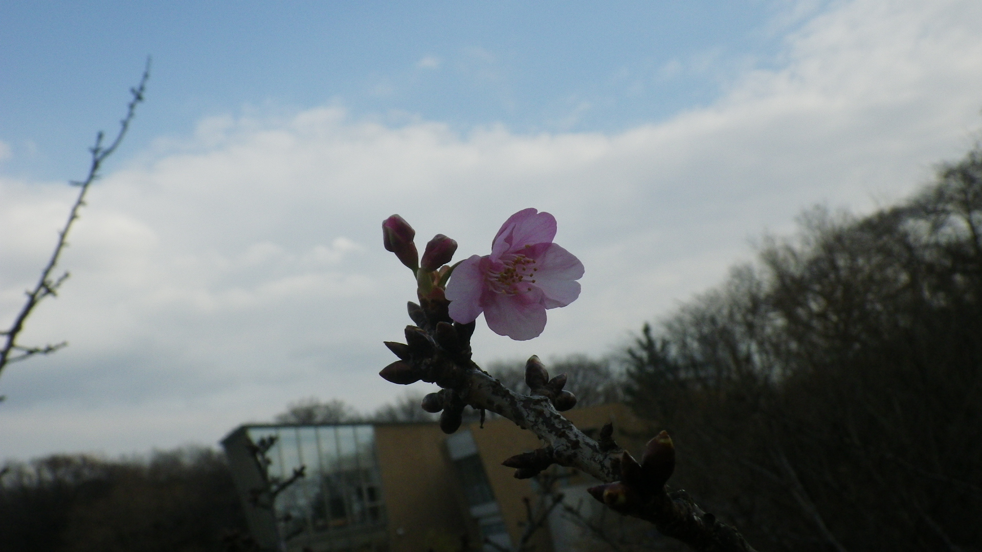 IMGP8277.JPG