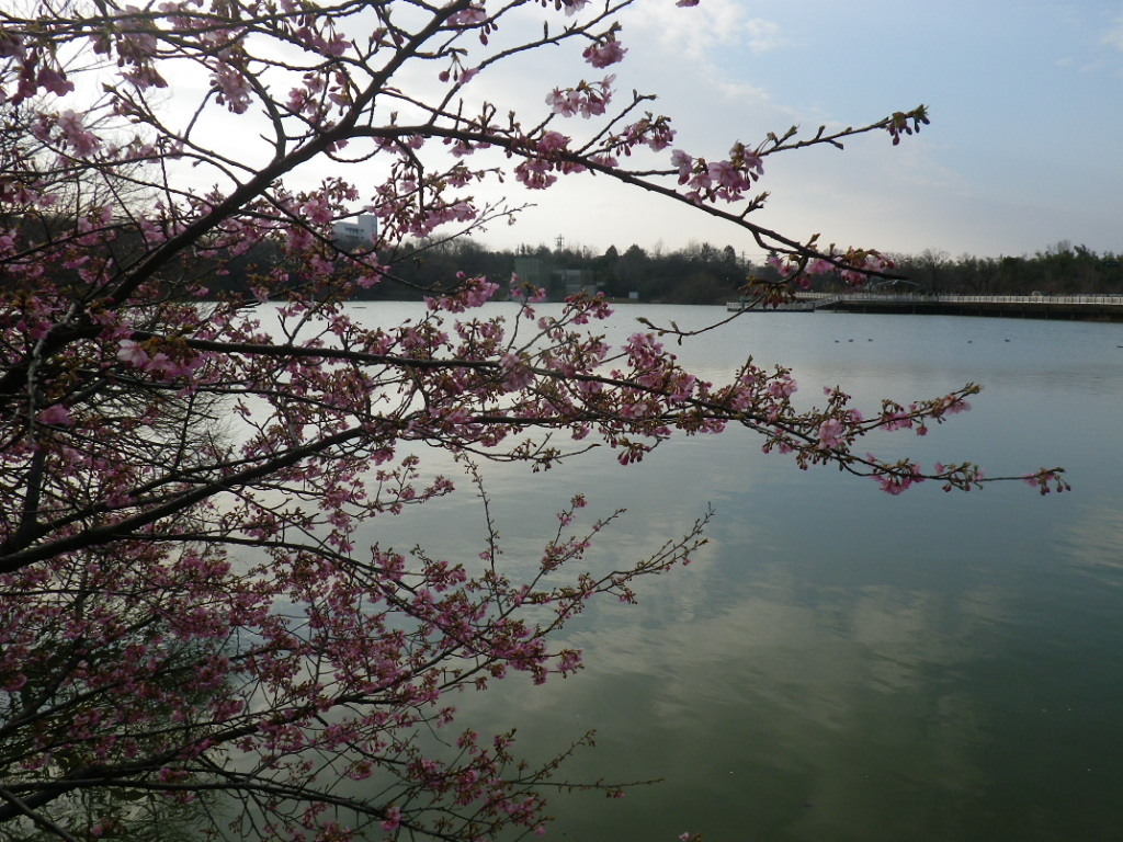 IMGP8695.JPG