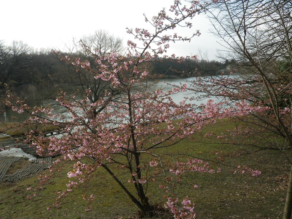 IMGP8702.JPG