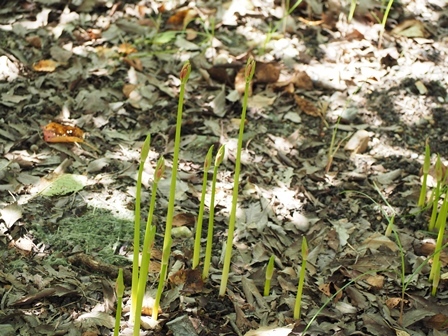 P9131459.JPG